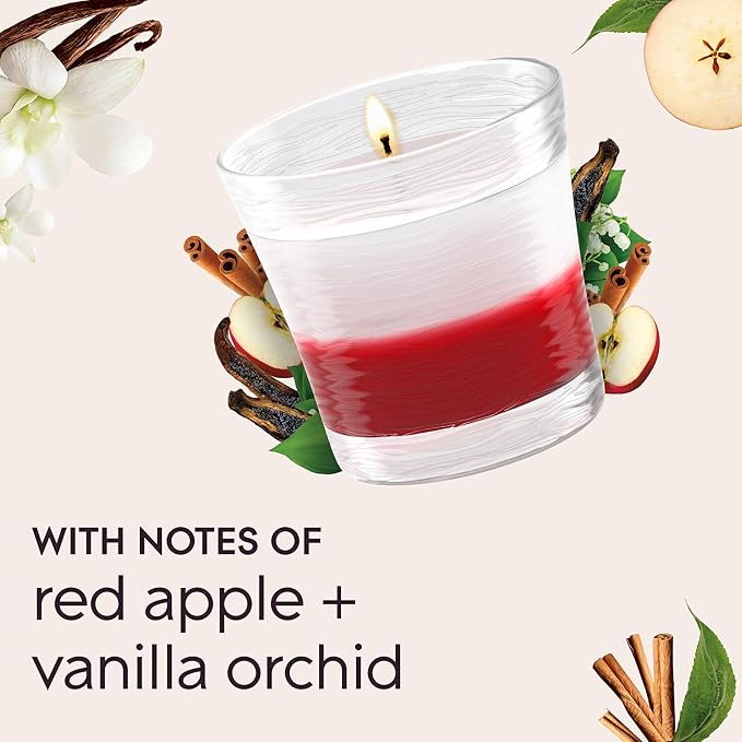 Glade 1-Wick 2in1 Scented Candle Jar, Sheer Vanilla Embrace & Apple Cinnamon, Air Freshener Infused with Essential Oils, 4.08 Oz, 2 Count