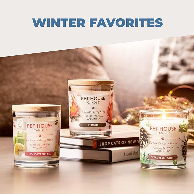 Pet House Candles, Long Lasting Scented Candles for Pet Odors, 60 Hour Burn Time - Cucumber Mint, 9 oz