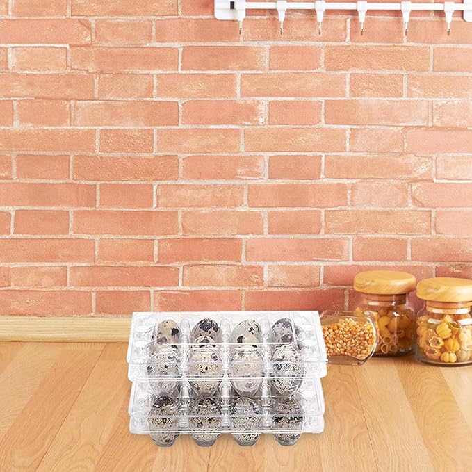 120pcs Plastic Quail Egg Cartons Portable 12-compartment Egg Holder Trays for Kitchen Storage and Farm Use Reusable Quail Boxes for Refrigerators and Market Display