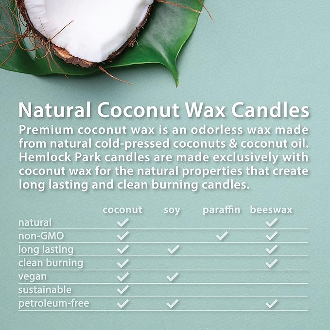 Hemlock Park Crackling Wood Wick Candle Handcrafted with Natural Coconut Wax (Standard 8 oz, Sandalwood)