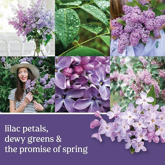 Yankee Candle Concentrated Room Spray, Lilac Blossoms, Odor Neutralizing Aerosol for Home and Bathroom, Instant Long-Lasting Floral Fragrance, 1.5 Ounce (Pack of 6)