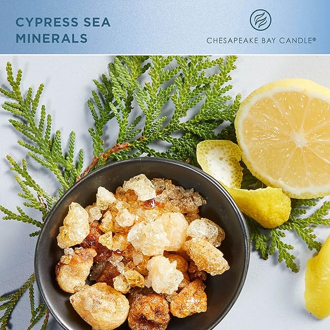 Chesapeake Bay Candle Intentions Collection Candle Be Present: Live in the moment (Cypress Sea Minerals) 13 oz Home Décor