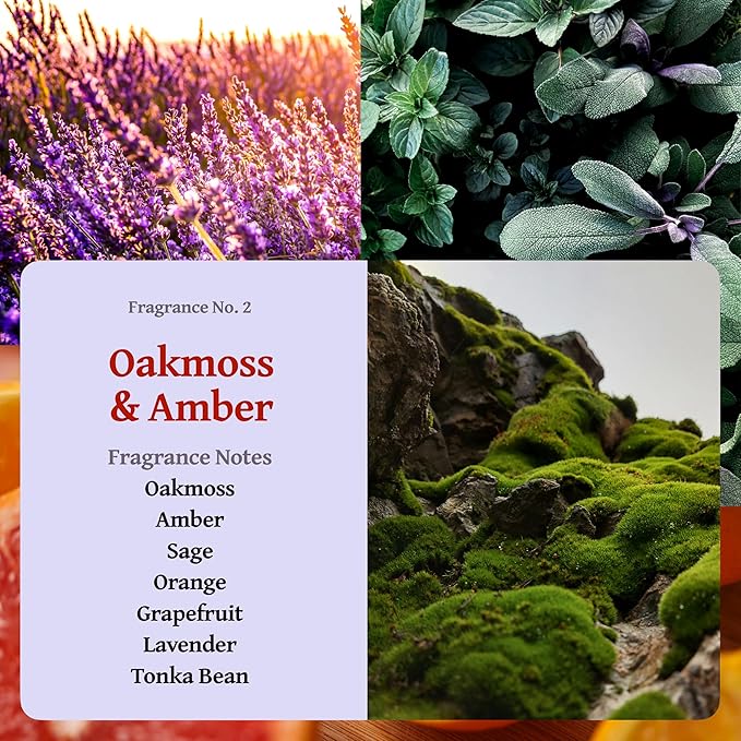 RUTH & ROSE | Oakmoss & Amber | 100% Beeswax Scented Candles for Home, 8oz, +65 Hours Burn Time, Aromatherapy Non Toxic Candles, Gift for Women & Men, Perfect for Travel or Gifting