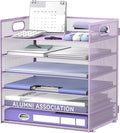 Daltack 6 Tier Paper Organizer for Desk, Paper Letter Tray Organizer for Desks, Mesh Desk File Organizers with Handle for Office, Home, School, Purple