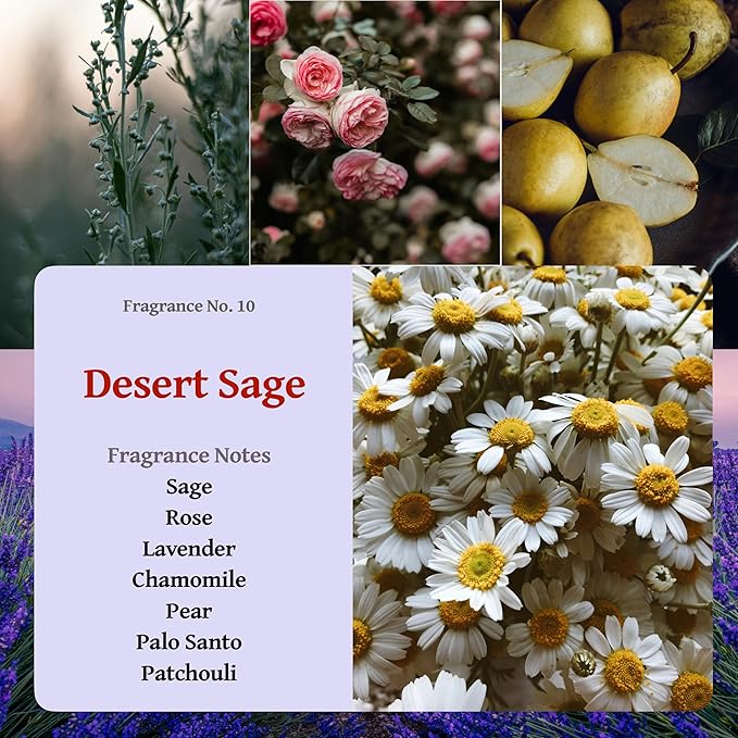 RUTH & ROSE | Desert Sage | 100% Beeswax Scented Candles for Home, 8oz, +65 Hours Burn Time, Aromatherapy Non Toxic Candles, Gift for Women & Men, Made in USA, Perfect for Travel or Gifting