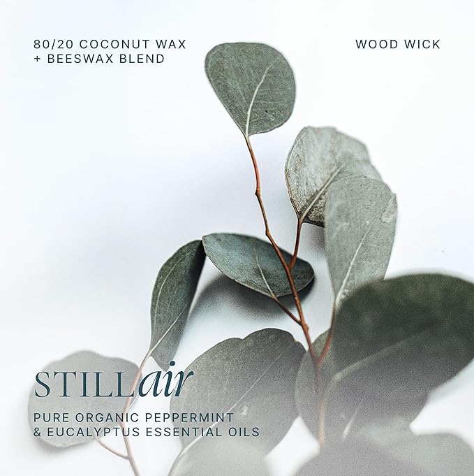 Still Air, Beeswax Coconut Organic Clean-Burning Candle | Serene Aromatherapy Peppermint & Eucalyptus | Minimal Spa Calm | Non-Toxic Luxury Home Fragrance | Wood Wick, 9oz