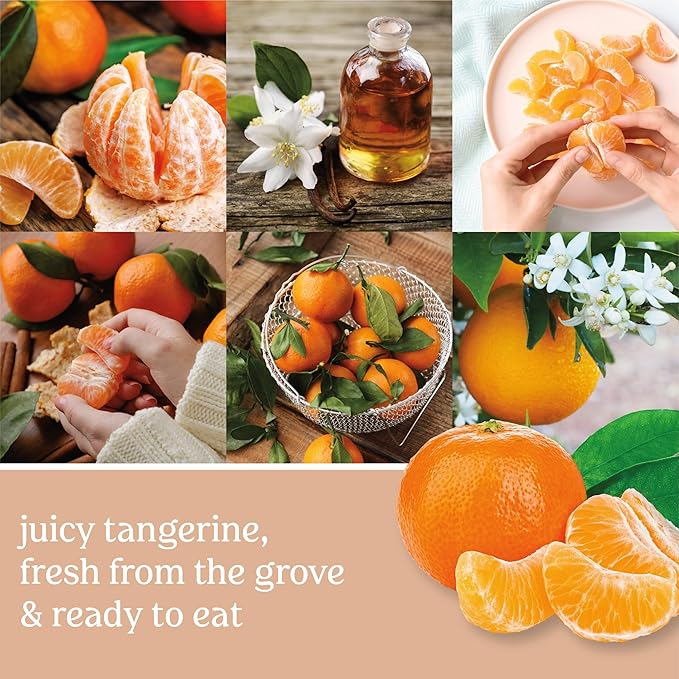 Yankee Candle Concentrated Air Freshener Room Spray, Odor Eliminator for Home, Bathroom, Tangerine & Vanilla, 1.5 Oz (Pack of 3)