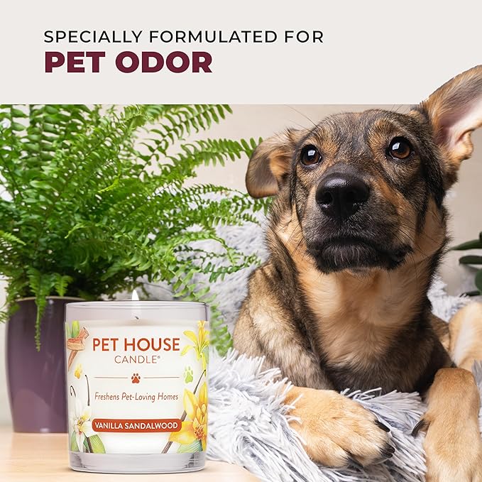 One Fur All Pet House Fall Candles, Long Lasting, Clean Burning, Soy Wax Scented Candles for Pet Odor, Autumn Harvest