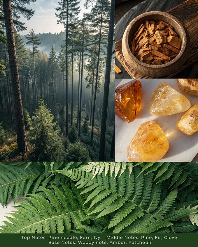 Pine Forest Scented Candles - 100% Natural Soy Wax - Large 3 Wick Jar Candle - Up to 50 Hours Burning Time - Candles for Home - Gift-Ready Candle for Men & Women - Aromatherapy