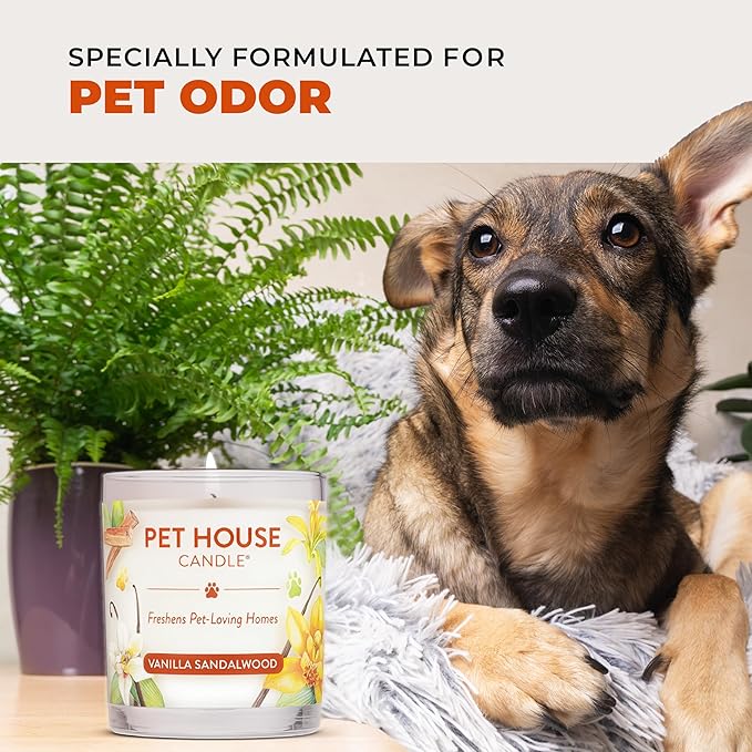 One Fur All Pet House Fall Candles, Long Lasting, Clean Burning, Soy Wax Scented Candles for Pet Odor, Apple Cider, 2 Pack