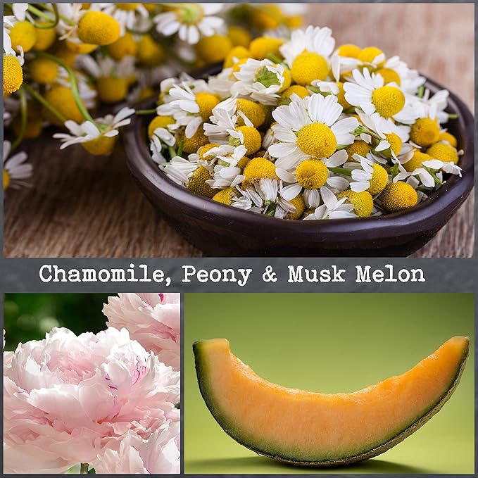 100% Natural Soy Wax Candle by CoCo Benjamin - Highly Scented & Hand-Poured Luxury Candle (Chamomile, Peony & Musk Melon) - Clean Burning Cotton Wick