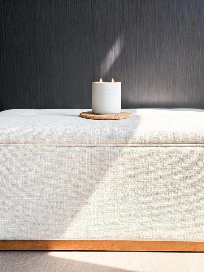 WHOLESOME. Pomegranate Scented Non-Toxic Candles for Home, 2 Wicks Natural Coconut Wax Candle Eco-Friendly, Luxury Aromatherapy Candles Stress Relief, 16 oz Large Concrete Jar, 90 Hours Burn