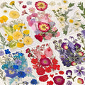 150 Pcs Dried Pressed Flowers for Resin,Real Nature Dried Flowers for Crafts Bulk Dry Flowers Leaves Kit Used for Resin Molds Scrapbooking DIY Art Crafts Candle Soap Making Décor