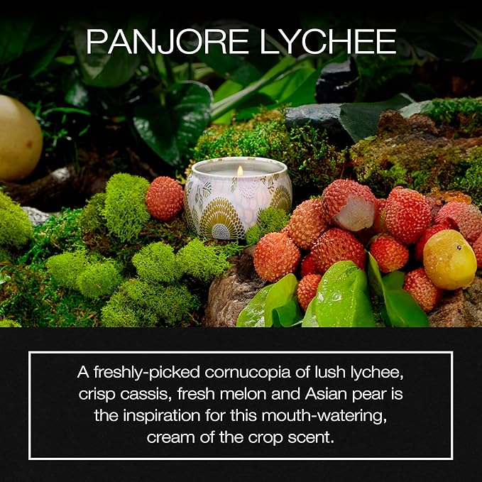 Voluspa Panjore Lychee Petite Tin Candle , 4 Ounces