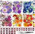 207 Pcs Dried Pressed Flowers for Crafts, Dried Pressed Flowers for Resin, Bulk Natural Dried Flowers Kit with Butterfly Stickers&Tweezers for DlY Resin Molds, Candles, Soap,Jewelry Making, Art Crafts