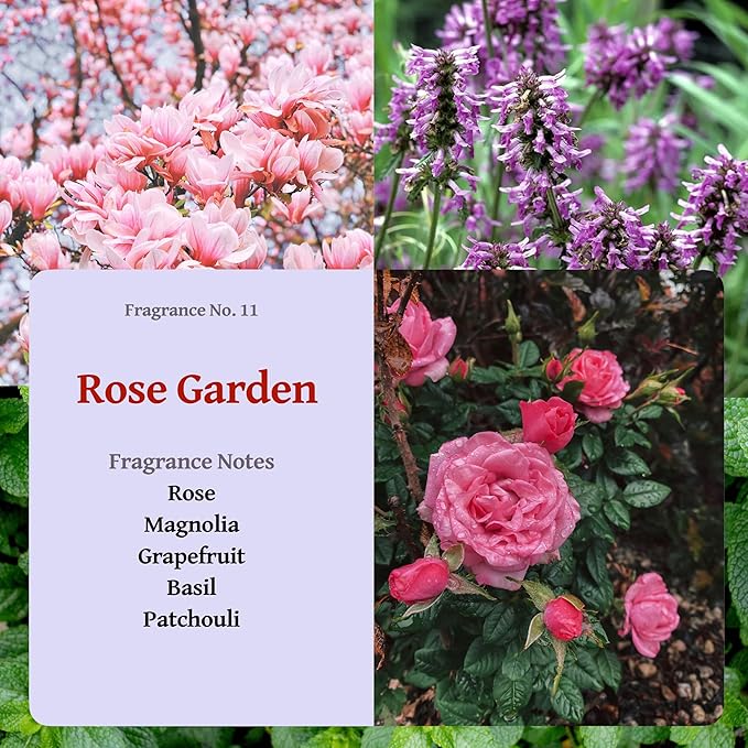 RUTH & ROSE | Rose Garden | 100% Beeswax Scented Candles for Home, 8oz, +65 Hours Burn Time, Aromatherapy Non Toxic Candles, Gift for Women & Men, Made in USA, Perfect for Travel or Gifting