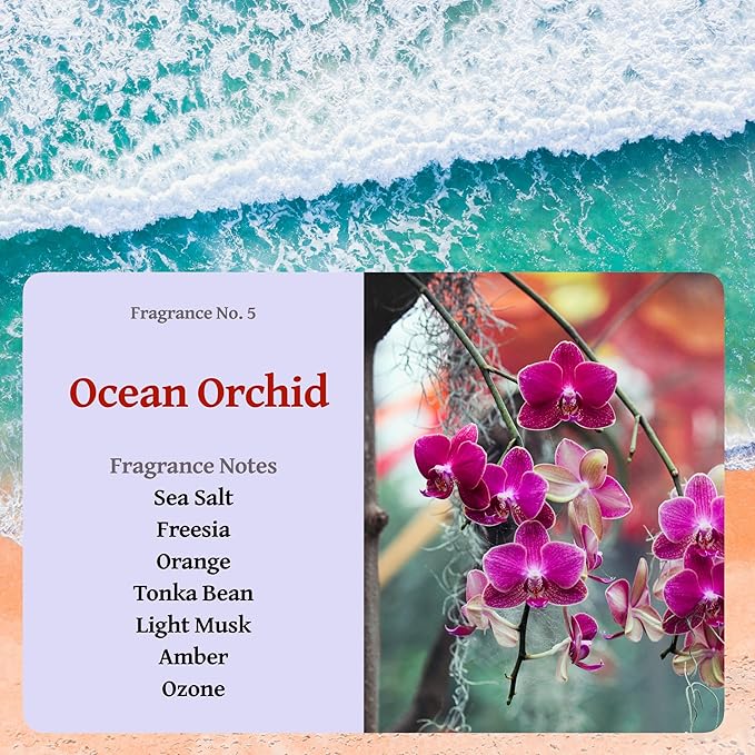 RUTH & ROSE | Sea Salt & Orchid (Ocean Orchid) | 100% Beeswax Scented Candles for Home, 8oz, +65 Hours Burn Time, Aromatherapy Non Toxic Candles, Gift for Women & Men, Perfect for Travel or Gifting