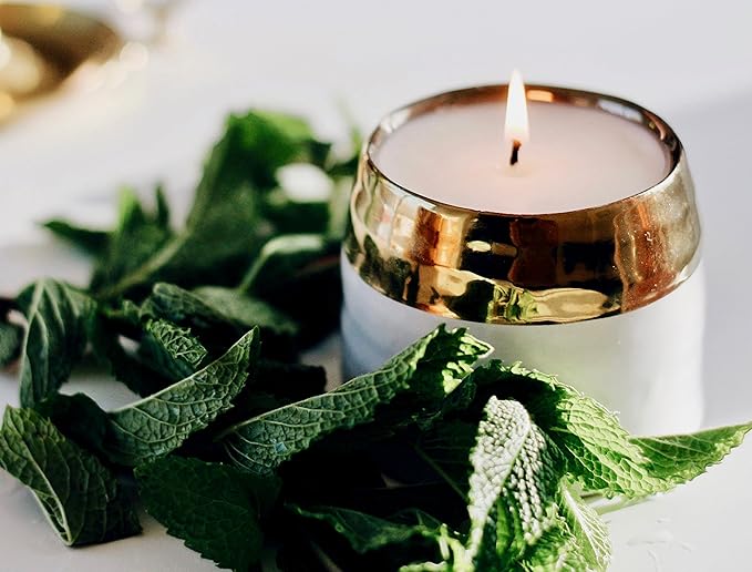 Hyggelight - The Growing Candle, Lavender Scented, 10oz Ceramic Pot, Single Wick Aromatherapy Candles, 100% Soy for Women and Men, Clara