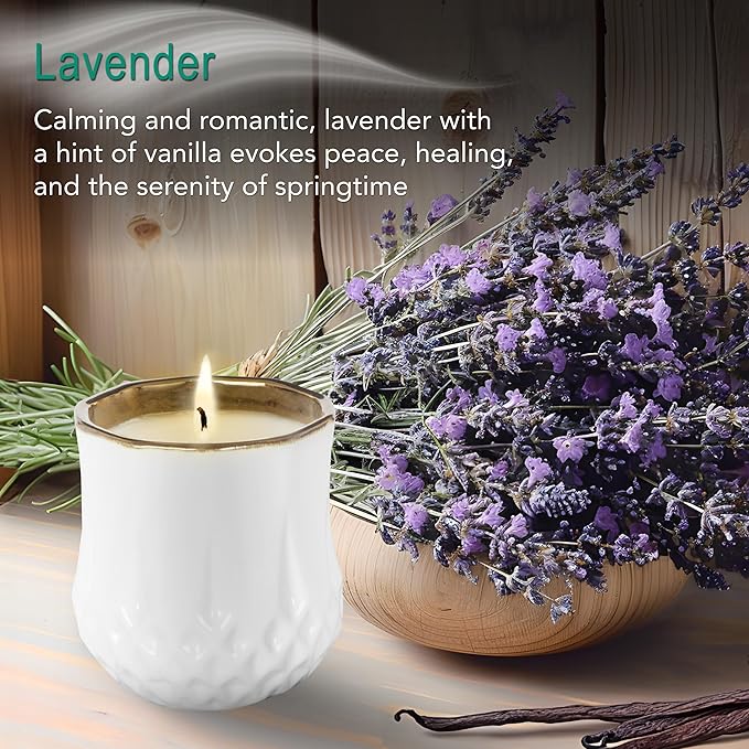 Hyggelight - The Growing Candle, Lavender Scented, 9oz Ceramic Pot, Single Wick Aromatherapy Candles, 100% Soy for Women and Men, Astrid