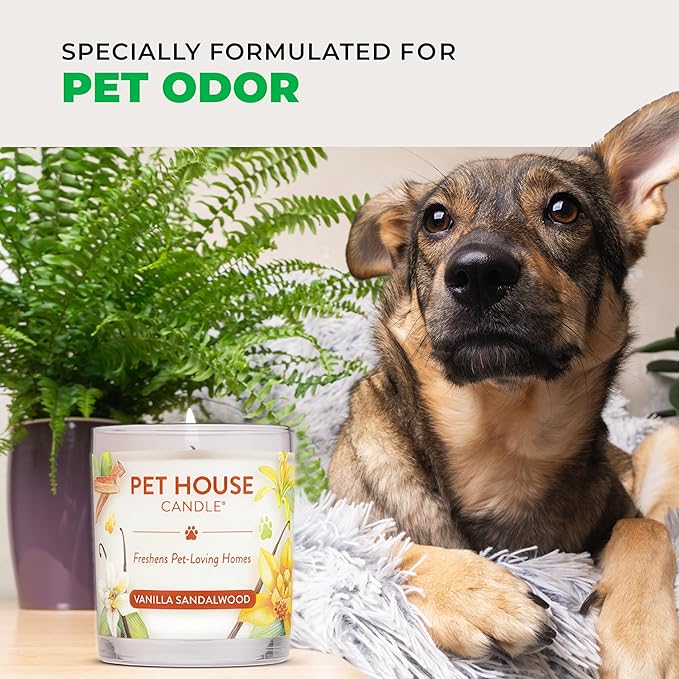 Pet House Pet Odor Candle Plant Based Soy Candle Clean Burning, Long Lasting for Home, Gingerbread Cookies