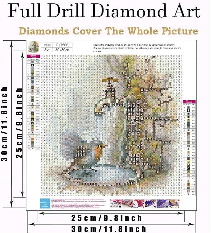 VIGEGU Diamond Art Kits for Adult,Bird Diamond Painting for Beginnger,European Robin DIY Full Drill Rhinestone Diamond Dots Gem Painting Home Wall Decor 13.7x13.7 in