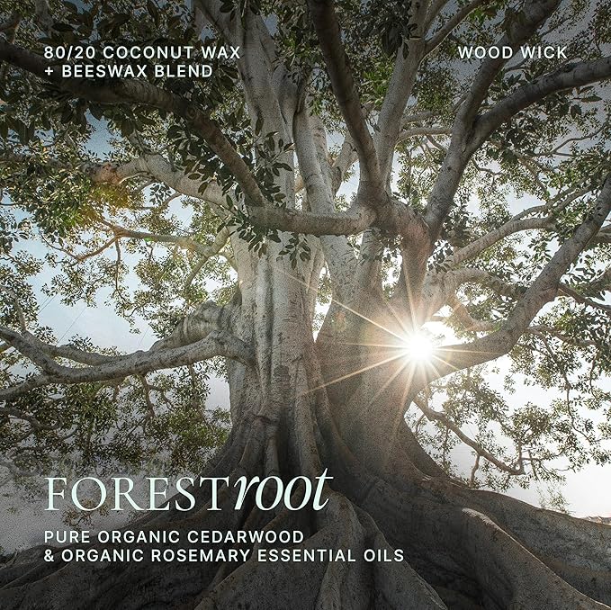 Forest Root, Beeswax Coconut Organic Clean-Burning Candle | Grounding Aromatherapy Cedarwood & Rosemary | Earthy Luxury Home Fragrance | Long-Lasting Slow Burn | Wood Wick, 9oz