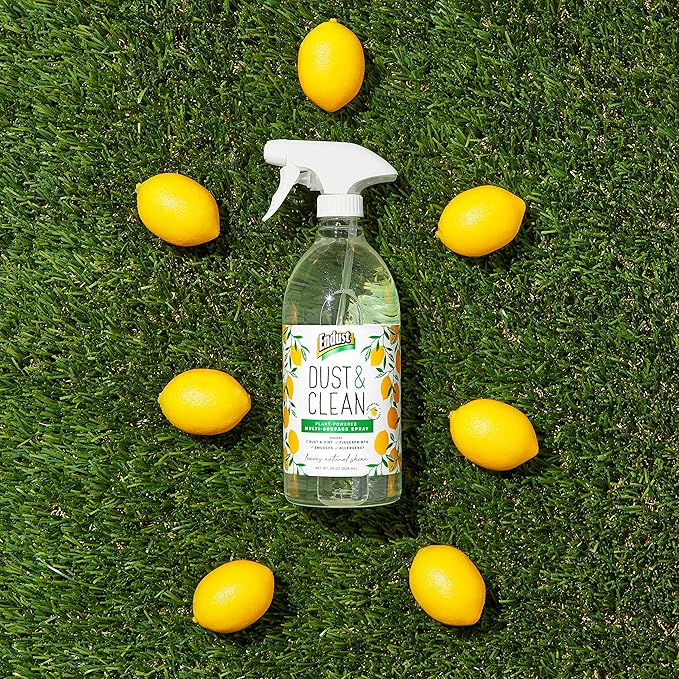 Endust Plant-based Multi-surface Dusting & Cleaning Spray, 24 Fl Oz (Pack of 2)
